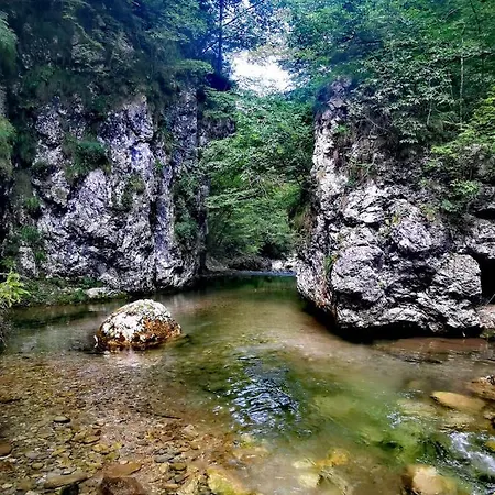 Semesterbostad Riverside