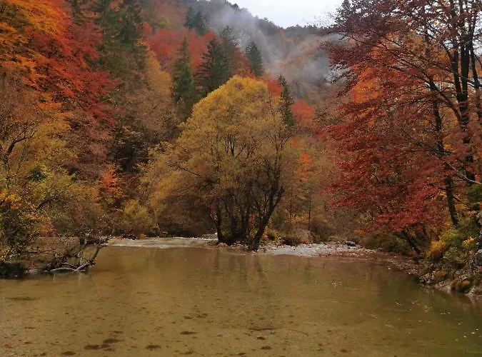 Сasa de vacaciones Riverside