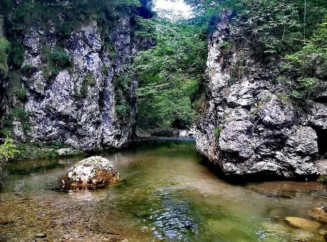 Dom wakacyjny Riverside