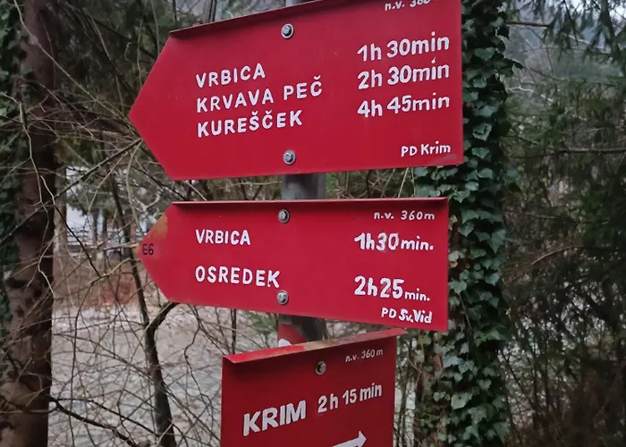 Dom wakacyjny Riverside *